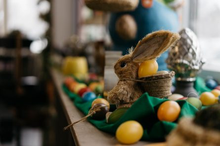 Frühlingserwachen in der Heilsarmee brocki.ch